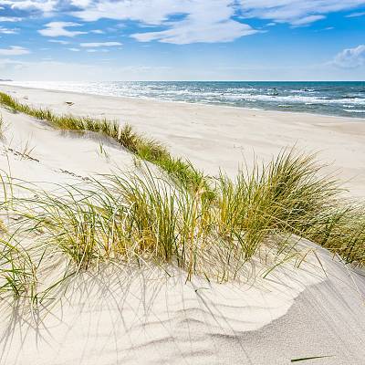 Grafika Ustronne miejsca do plażowania Dębki